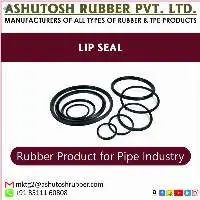 Lip Seal