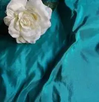 Taffeta Silk