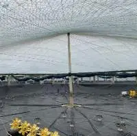 Pond Liner Film- 4A