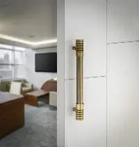 DTMD-200 ( Main door handle)