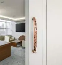 DTMD-311 ( Main door handle)
