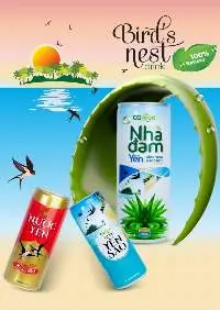 Bird's Nest
