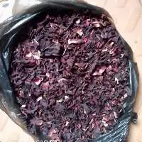 Hibiscus Flower