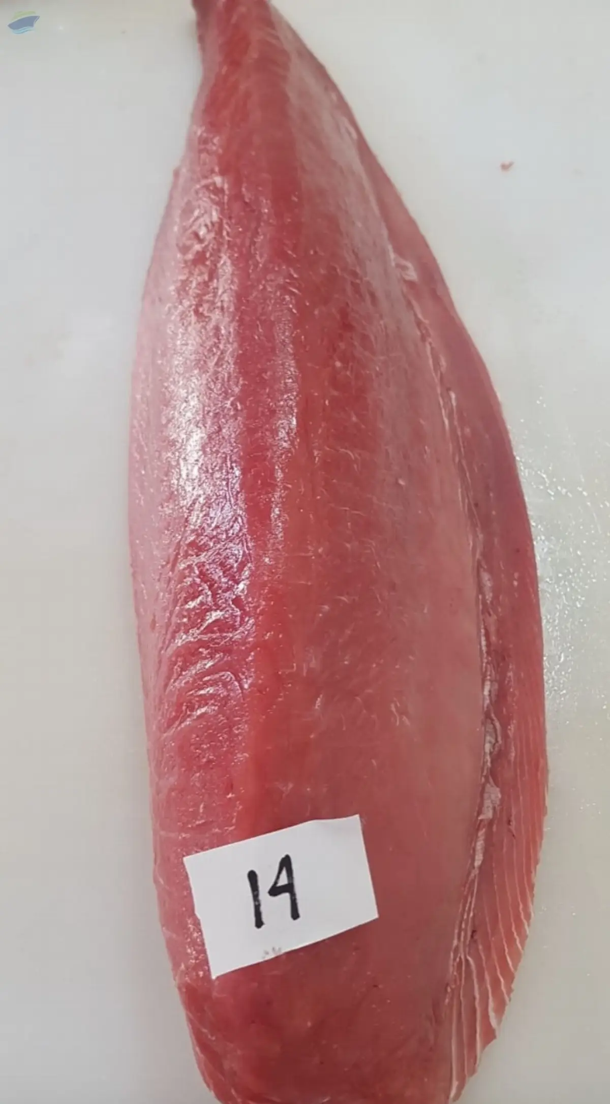 Yellowfin Tuna (Chill Fresh and Frozen)