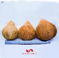 Coconut (Husked / Semi Husked)