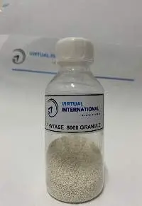 Phytase 5000