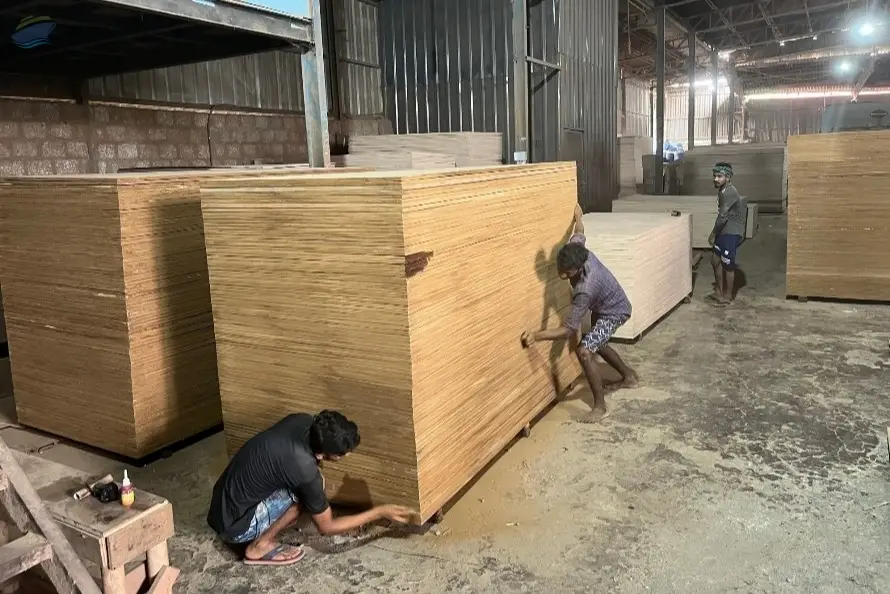 Eco Edge Hardwood Plywood 