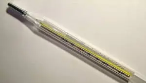 Mercury Thermometer