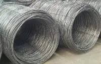 Steel Rebar Coils
