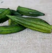 Okra is brittle and dry