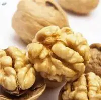 Dried Walnut