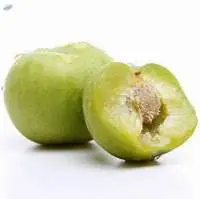 Fresh Crispy plum