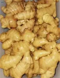 Fresh Ginger