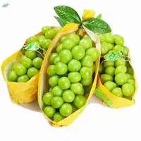 Fresh Green grape (Sun Rose)