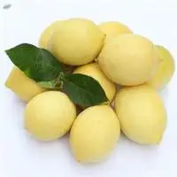 Fresh Lemon