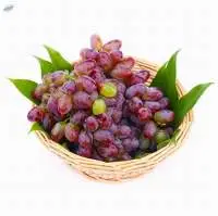 Fresh Purple Grape