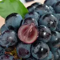 Fresh Seedless grape