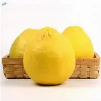 Fresh Super Sweet Grapefruit
