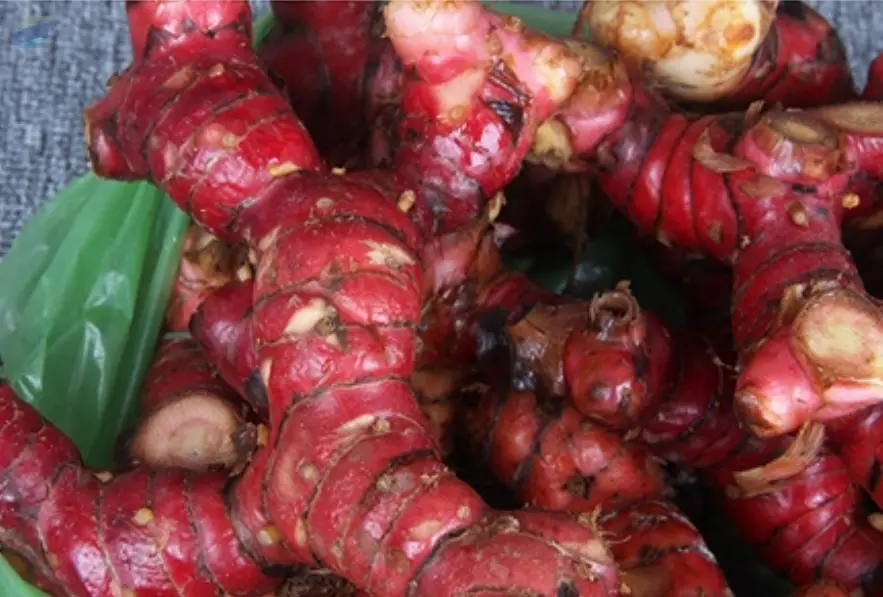 Red Ginger