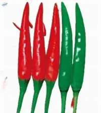 Pod Pepper