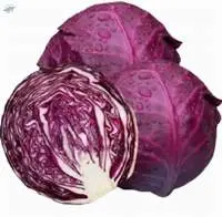Proviolet Cabbage