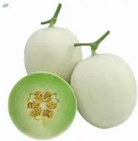 18015 Melon Seed