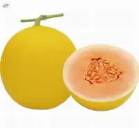 Melon Seed