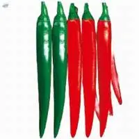 21009 Pepper Seed