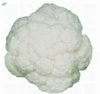 A41000 Cauliflower Seed