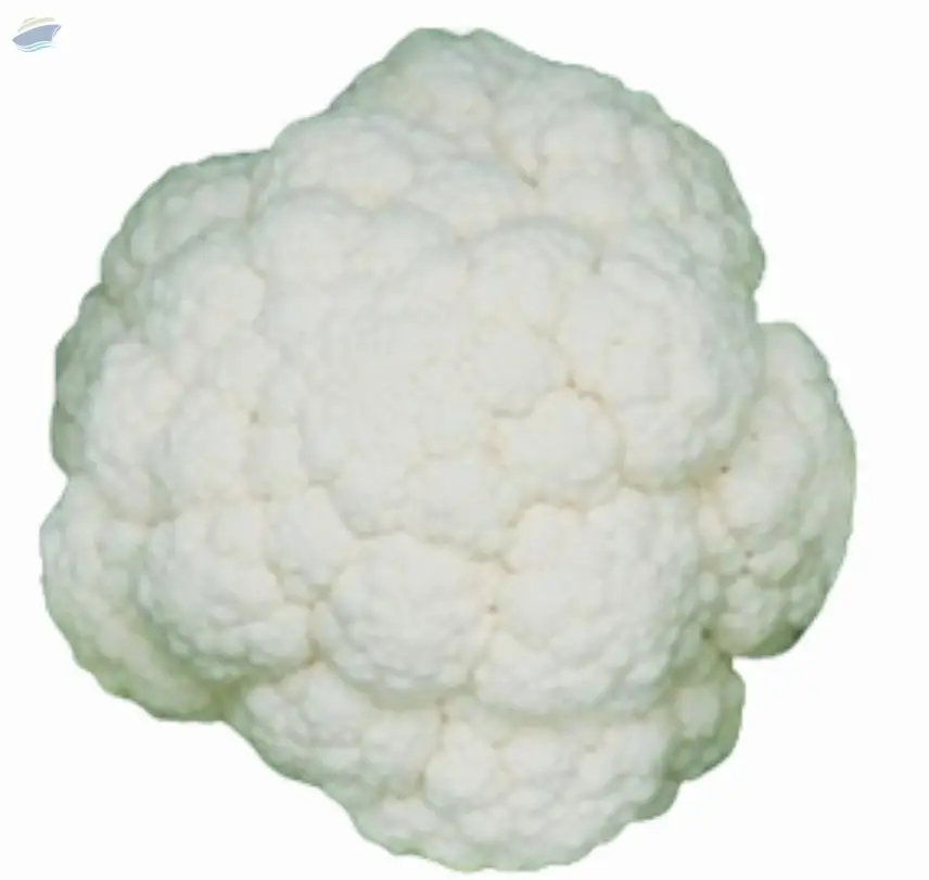 A41000 Cauliflower Seed