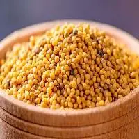 Mustard Seeds