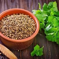 Coriander Seeds