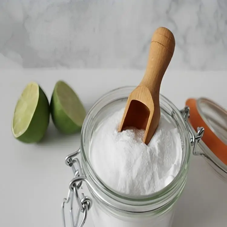 Sodium Bi carbonate