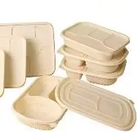 All Eco Boxex with Lids