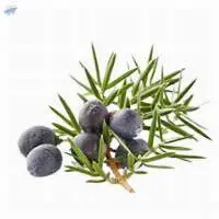 Cade Rectified Essential Oil