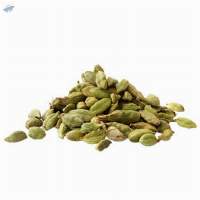 Cardamom Essential Oil