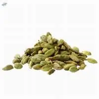 Cardamom Essential Oil