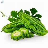 Bitter Gourd Oil
