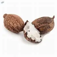Shea Butter