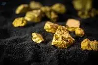 Coconut Shell-based Activated Carbon Gold Grade