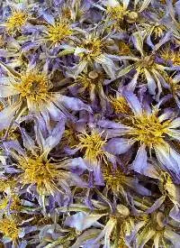 Dried Sacred Egyptian Blue Lotus Flowers
