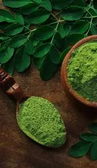 Dried Moringa Leaf Powder (Moringa Oleifera)