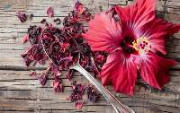 Dried Hibiscus Flowers (Hibiscus rosa-sinensis)