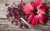 Dried Hibiscus Flowers (Hibiscus rosa-sinensis)
