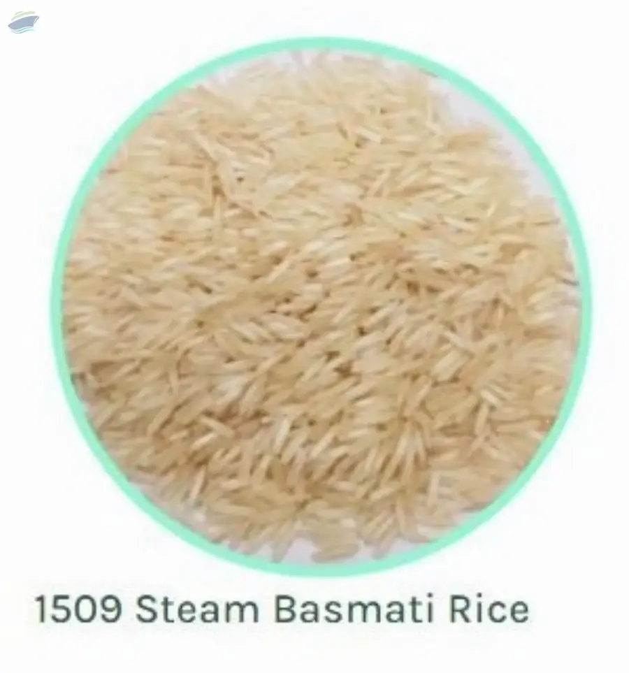 1509 Stem Basmati Rice
