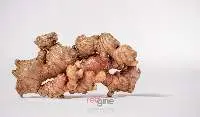 Fresh Red Ginger