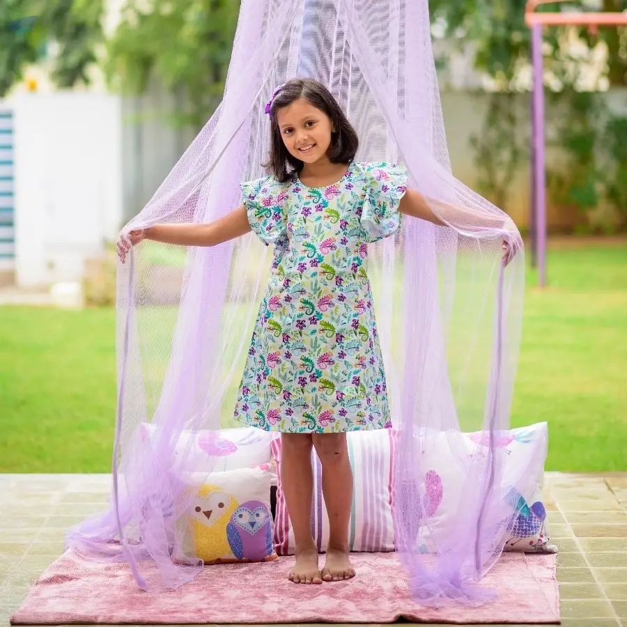 A Line Dress With Short Ruffled Sleeves