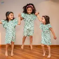 A Line Dress With Short Ruffled Sleeves