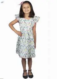 Fit and Flare Dress With Short Frill Sleeves