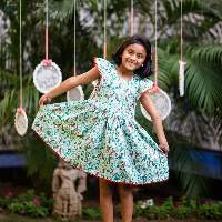 Fit and Flare Dress With Short Frill Sleeves